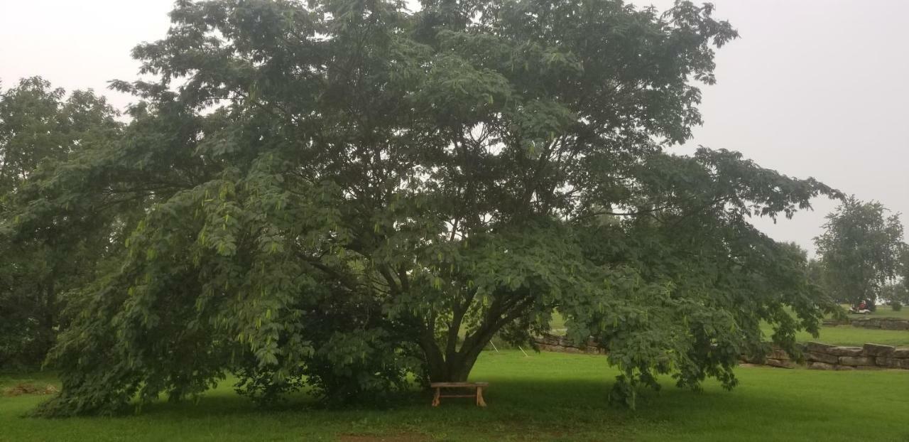 Fairway Inn Berryville Esterno foto